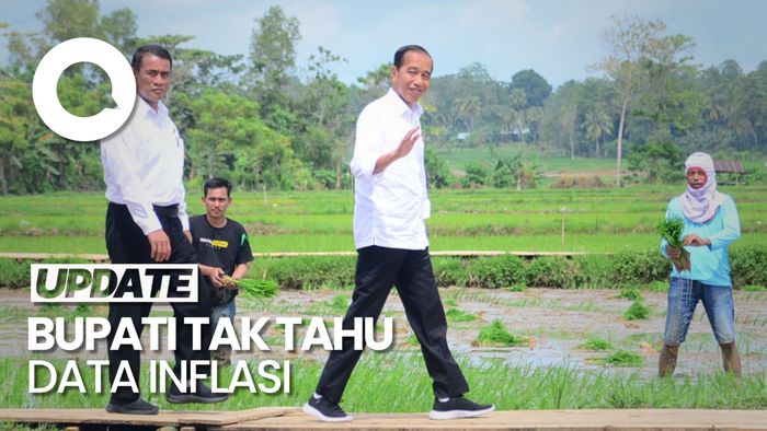 Kala Jokowi Singgung Ada Bupati Tak Tahu Data Inflasi di Daerahnya