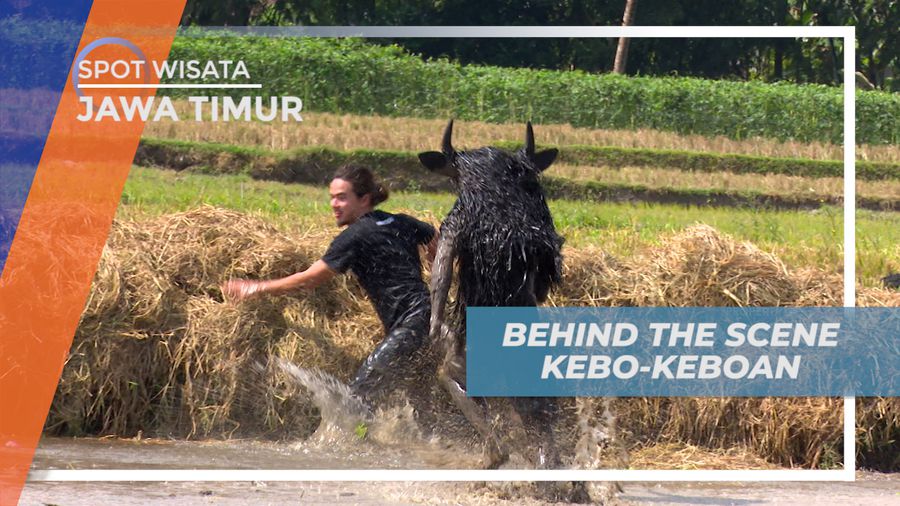 Seru-seruan Mandi Lumpur di Scene Kesenian Tradisional Kebo-keboan, Jawa Timur