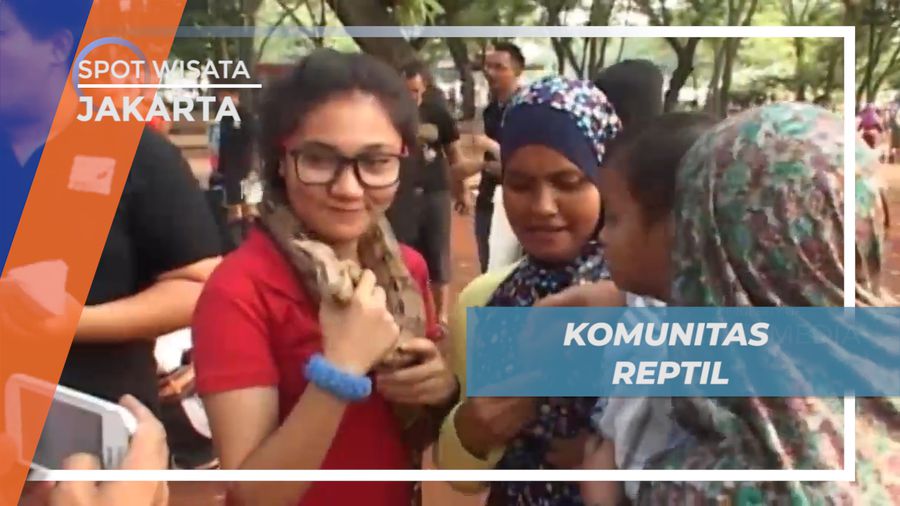 Melihat Aktivitas Komunitas Pecinta Hewan Reptil di Pelataran Monas, Jakarta