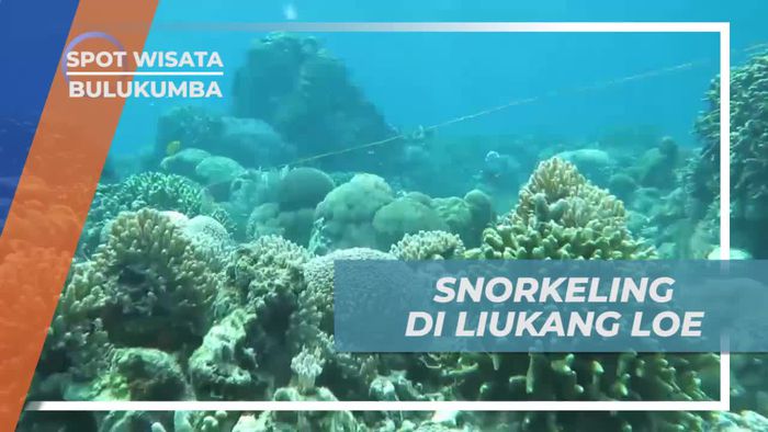 Snorkeling Asik Menikmati Keindahan Bawah Laut Liukang Loe Bulukumba