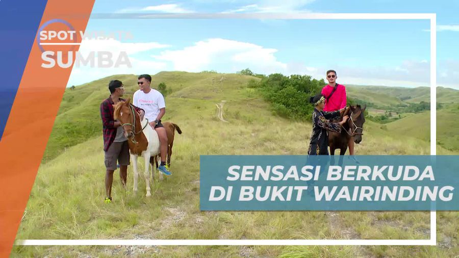 Merasakan Sensasi Naik Kuda di Bukit Wairinding Sumba