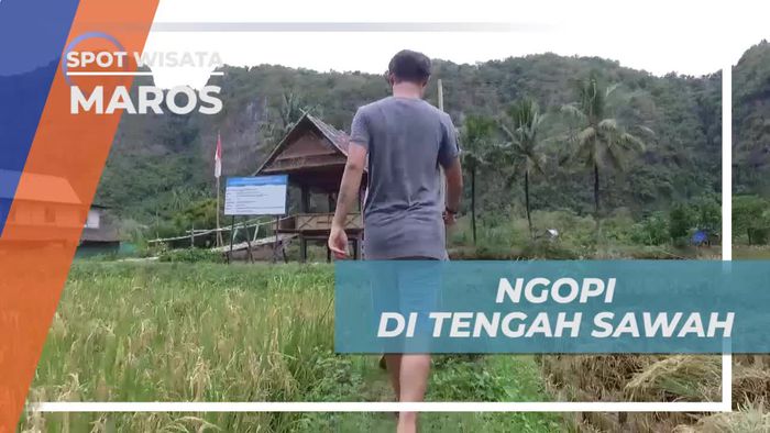 Seruput Hangat Secangkir Kopi di Tengah Sawah Kampung Berua Maros