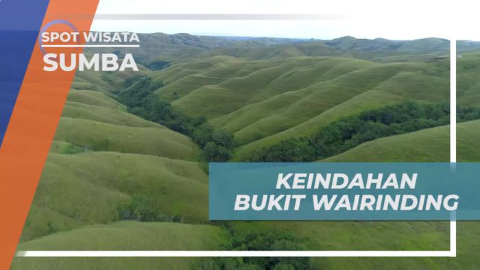 Nuansa Hijau Sejauh Mata Memandang di Bukit Wairinding Sumba