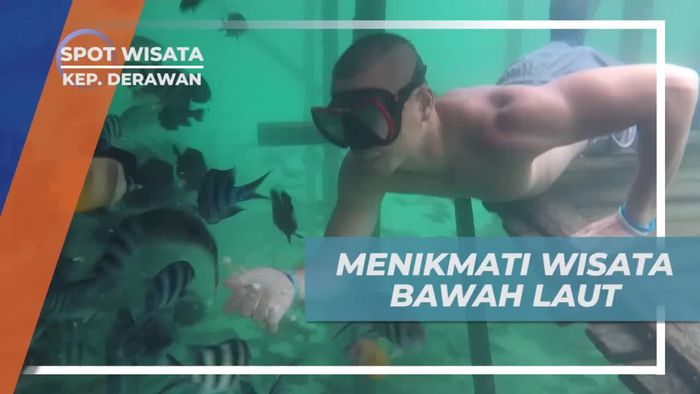 Snorkeling Menikmati Keindahan Bawah Laut Kepulauan Derawan