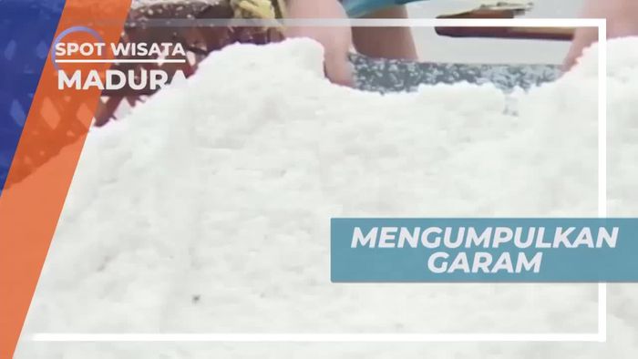 Mengumpulkan Garam Sebelum Panen, Madura