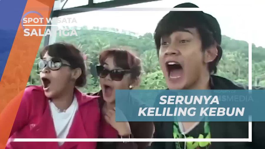 Seru-seruan Keliling Kebun Kopi Dengan Kereta Wisata, Salatiga