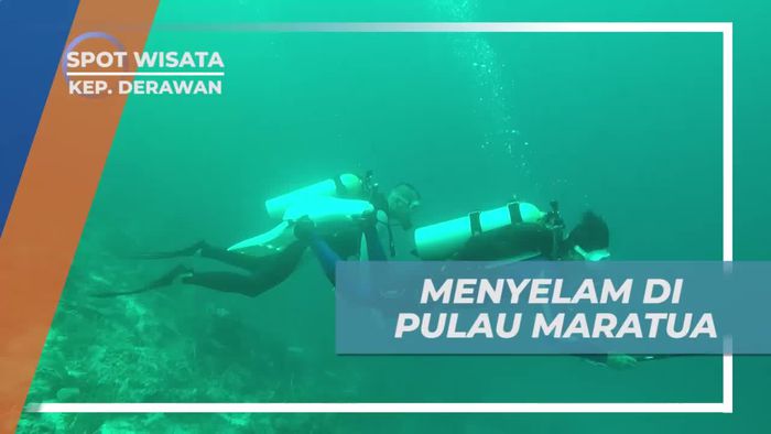 Diving Menikmati Keindahan Bawah Laut Pulau Maratua, Derawan
