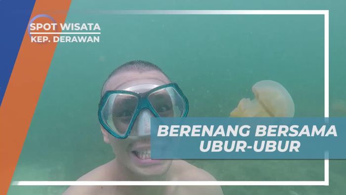 Momen Menyenangkan Berenang Bersama Ubur-ubur di Pulau Kakaban Derawan