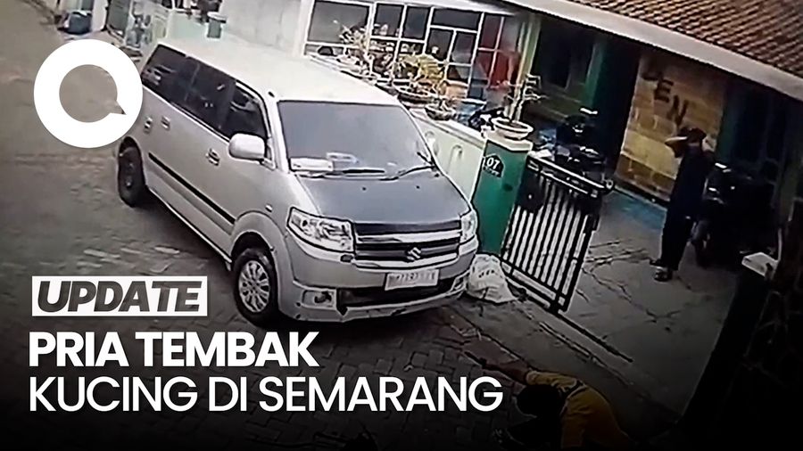 Viral Aksi Pria Tembak Kucing di Semarang, Polisi Tangkap Pelaku