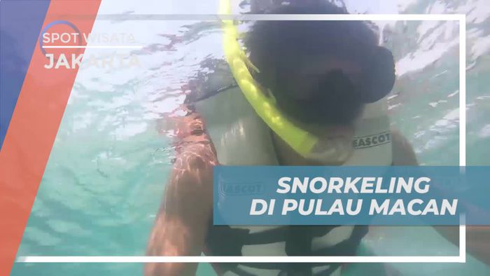 Snorkeling Asik Menikmati Keindahan Bawah Laut Pulau Macan Jakarta