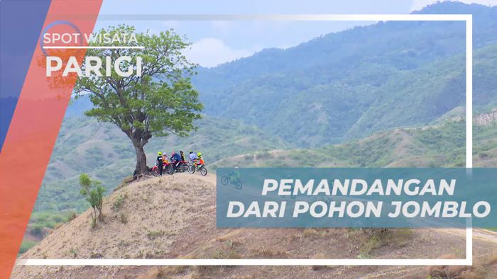 Menikmati Panorama Indah Bukit Jabal Nur Parigi Dari Pohon Jomblo