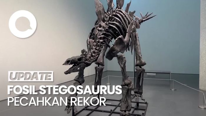 Fosil Stegosaurus di Pelelangan New York Terjual Rp 720 Miliar
