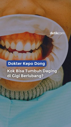 Daging di Gigi Berlubang