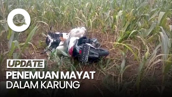 Geger Warga Lampung Temukan Mayat Dalam Karung di Kebun Jagung