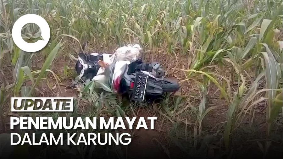 Geger Warga Lampung Temukan Mayat Dalam Karung di Kebun Jagung