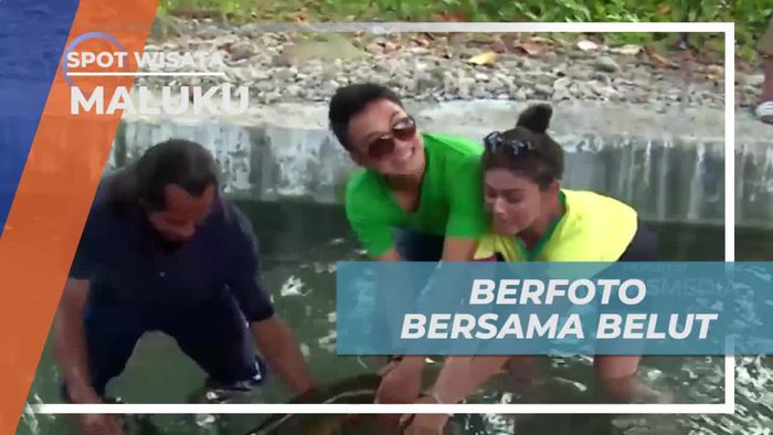 Berfoto Seru Bersama Belut Raksasa di Desa Wai Maluku