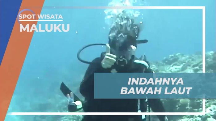 Diving Menikmati Keindahan Bawah Laut Maluku