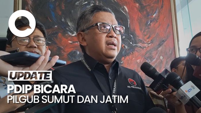 Hasto Jamin Tak Akan Ada Kotak Kosong di Pilgub Sumut dan Jatim