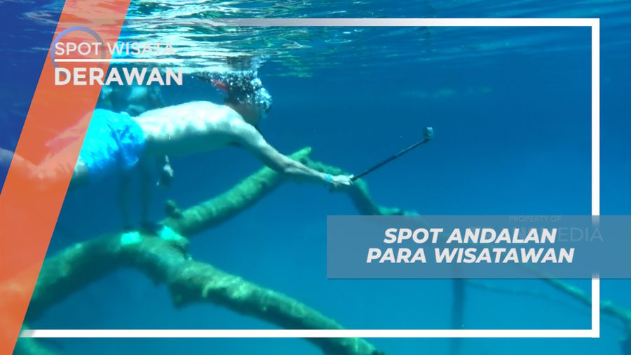 Dasar Danau Penuh Pepohonan, Spot Terbaik di Labuan Cermin Derawan 