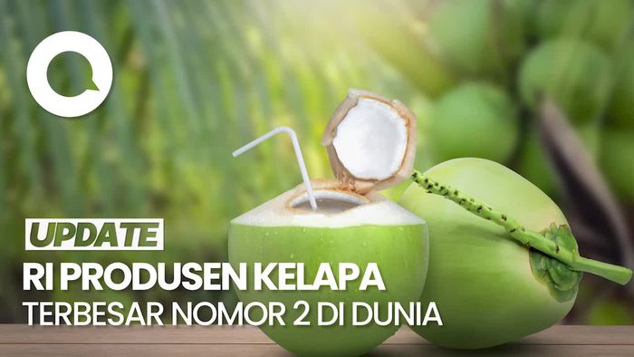 Bangganya Jokowi, RI Jadi Produsen Kelapa Terbesar Nomor 2 di Dunia