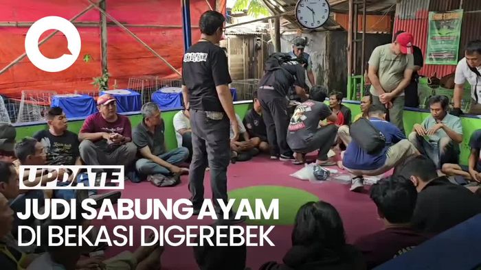 Detik-detik Polisi Gerebek Judi Sabung Ayam di Bekasi, Pelaku Kocar-kacir