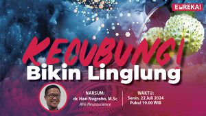 Kecubung Bikin Linglung