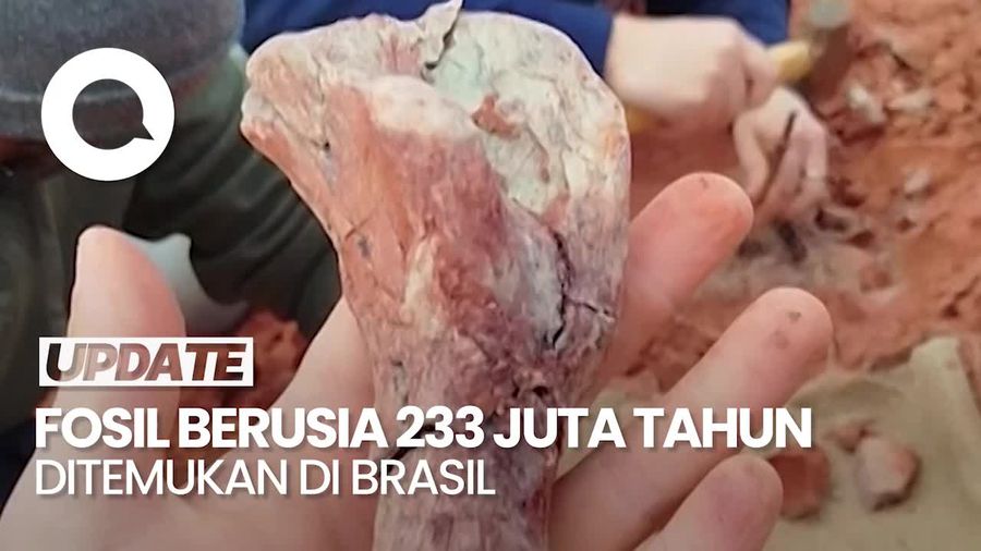 Peneliti Brasil Temukan Fosil Dinosaurus Berusia 233 Juta Tahun