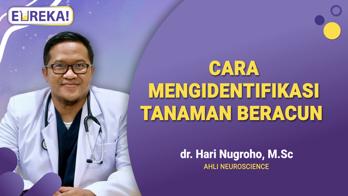 Cara Mudah Mengetahui Tanaman Beracun di Lingkungan Sekitar