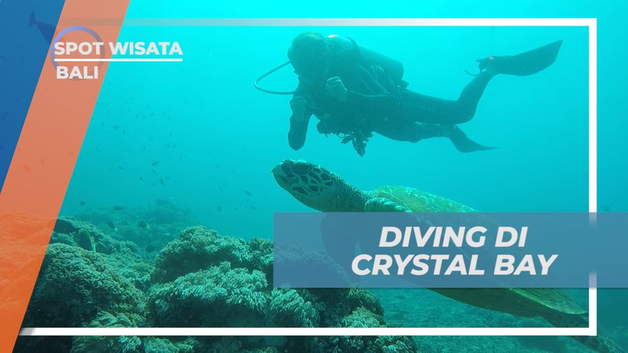 Sensasi Pertama Kali Menyelami Pesona Keindahan Bawah Laut Crystal Bay, Bali