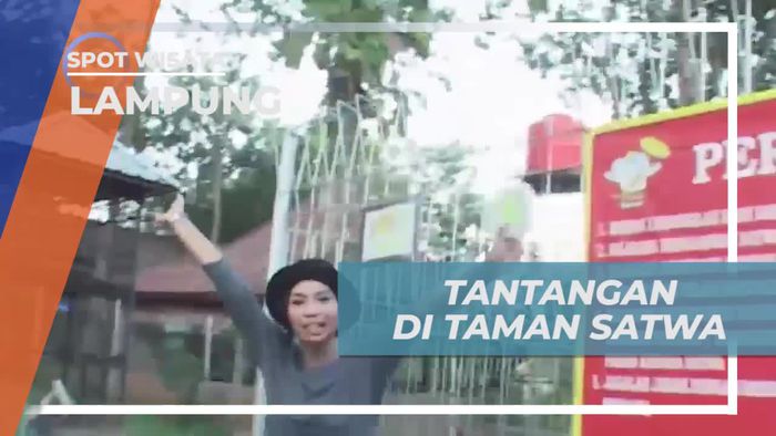 Tantangan Mencari Satwa di Lampung