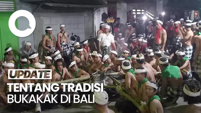 Melihat Tradisi Bukakak di Desa Sudaji Bali