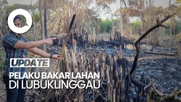 Bakar Lahan 1 Hektare, Ayah dan Anak di Lubuklinggau Diamankan Polisi