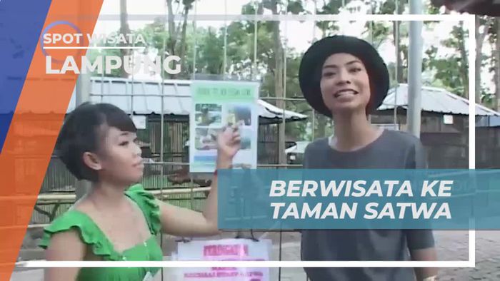 Berwisata ke Taman Satwa Melihat Aneka Hewan Lucu di Lampung