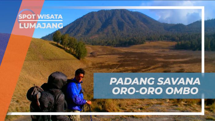 Suguhan Pemandangan Indah Padang Savana Oro - Oro Ombo di Lereng Gunung Semeru, Lumajang