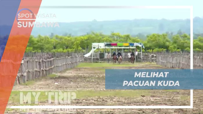 Menonton Keseruan Pacuan Kuda di Mayo Utara Sumbawa