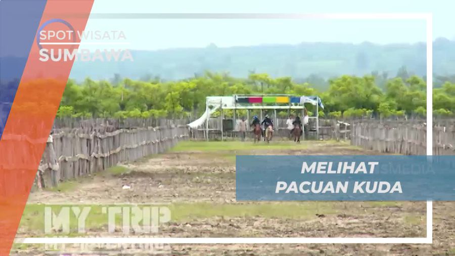 Menonton Keseruan Pacuan Kuda di Mayo Utara Sumbawa
