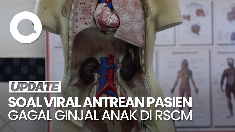 RSCM dan IDAI Bantah Adanya Lonjakan Kasus Gagal Ginjal Anak