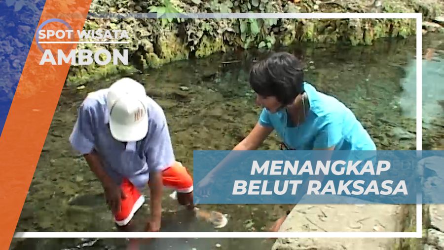 Sensasi Menangkap Belut Raksasa Penghuni Desa Wai, Ambon