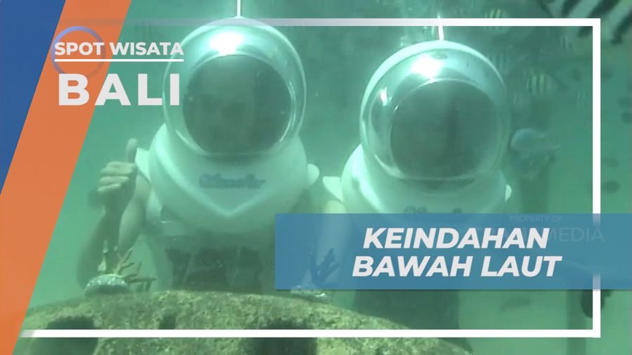 Menikmati Keindahan Biota Laut yang Memanjakan Mata, Bali