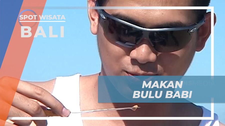 Sensasi Mencoba Cita Rasa Unik Daging Bulu Babi, Bali