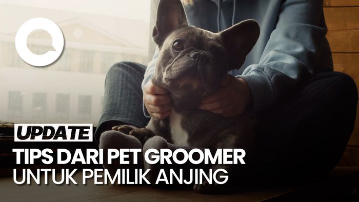 Jangan Memanjakan Hewan Peliharaan Secara Berlebihan