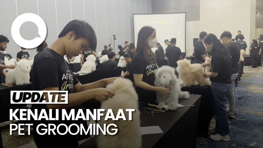 Pentingnya Pet Grooming bagi Kesehatan Hewan Peliharaan