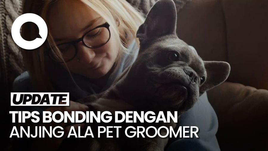 Pet Groomer Bagikan Tips Bonding dengan Anjing