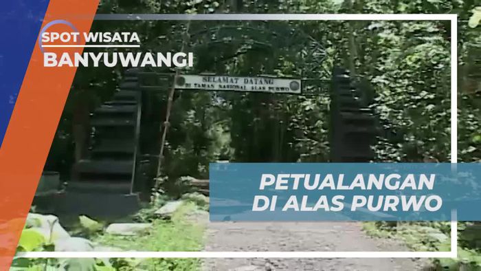 Petualangan Seru di Taman Nasional Alas Purwo Banyuwangi