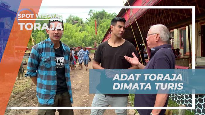 Tradisi Mantunu Tedong di Mata Turis Mancanegara, Toraja