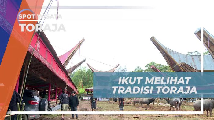 Melihat Tradisi yang Masih Lestari di Toraja
