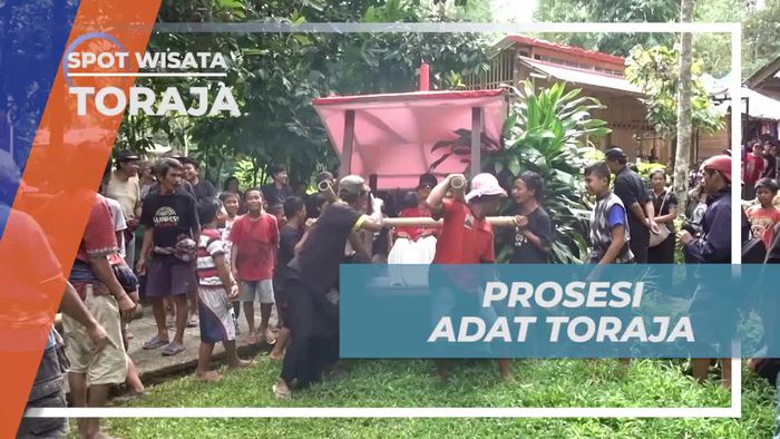 Melihat Prosesi Adat Pemindahan Jenazah di Toraja