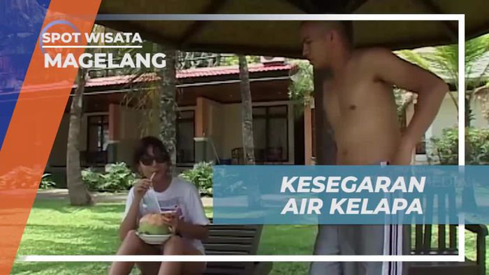 Seruput Segar Kenikmatan Air Kelapa Muda di Magelang