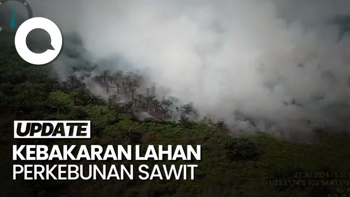 Penampakan dari Udara Kebakaran Lahan Perkebunan Sawit di Jambi