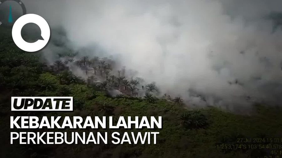 Penampakan dari Udara Kebakaran Lahan Perkebunan Sawit di Jambi